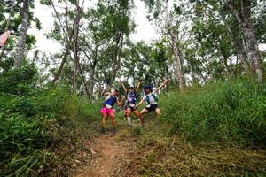 BIB: 
                            <button type="button" onclick="openModal(22388154)" class="btn btn-primary btn-sm float-right btn-popup" data-toggle="modal" data-target=".modal-high-quality">
                        <i class="fas fa-shopping-cart"></i> Add to Cart
                    </button>
                                            <button type="button" onclick="isThisMe(22388154, true)" class="btn btn-success btn-sm float-right btn-popup btn-isme hidden" data-toggle="tooltip" data-placement="bottom" title="นี่คือรูปของคุณใช่ไหม คลิกที่นี่เพื่อเอาเข้าอัลบั้ม">
                        <i class="fas fa-plus"></i> Add to album
                    </button>
                    <button type="button" onclick="isThisMe(22388154, false)" class="btn btn-warning btn-sm float-right btn-popup btn-isnotme hidden">
                        <i class="fas fa-ban"></i> Remove from album
                    </button>